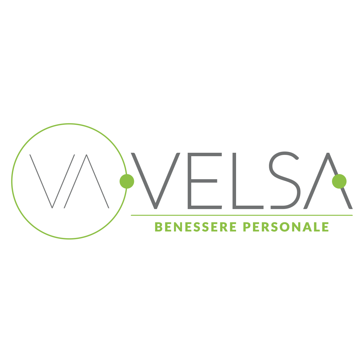 logo-velsa-2